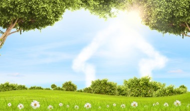 Top 5 Spring Home Selling Tips