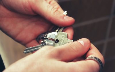Is the Homeownership Rate Finally Stabilizing?