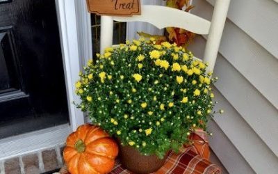 Fall Curb Appeal Decorating Ideas