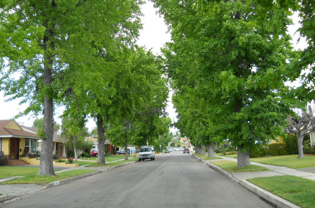 Tips for Finding the Perfect Neighborhood