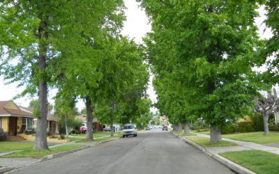 Tips for Finding the Perfect Neighborhood