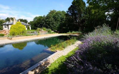 Natural Swimming Pools